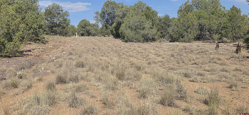 Tbd Cr 310 Property Photo 23
