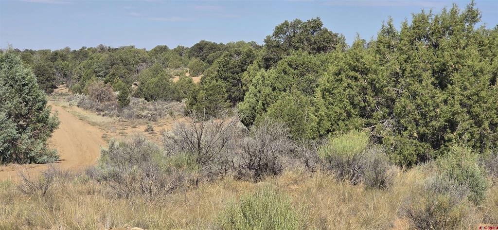 Tbd Cr 310 Property Photo 24