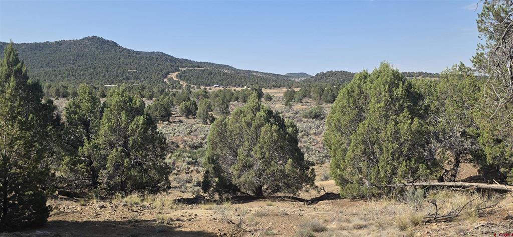 Tbd Cr 310 Property Photo 25