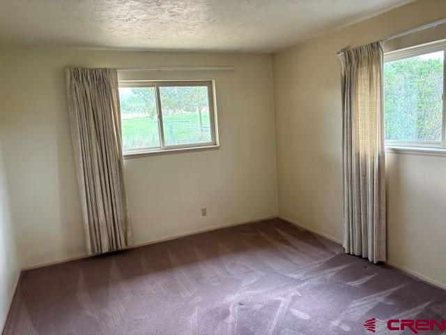 1042 Indian Camp Avenue Property Photo 19
