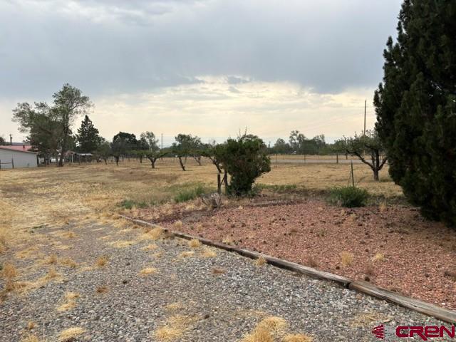 1042 Indian Camp Avenue Property Photo 32