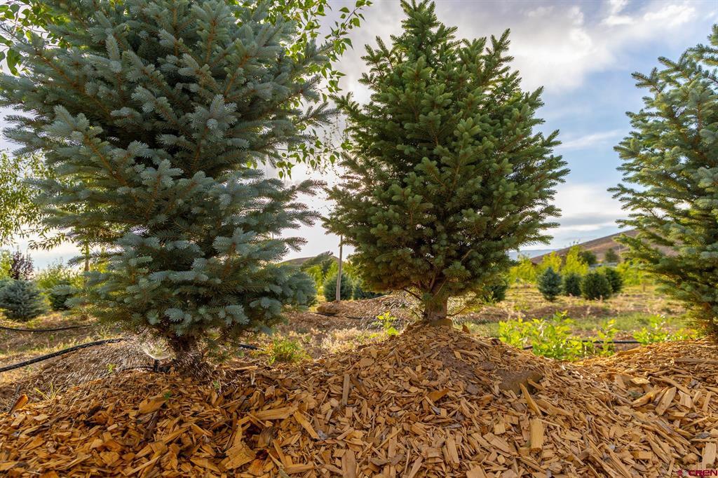 9001 2100 Road Property Photo 9
