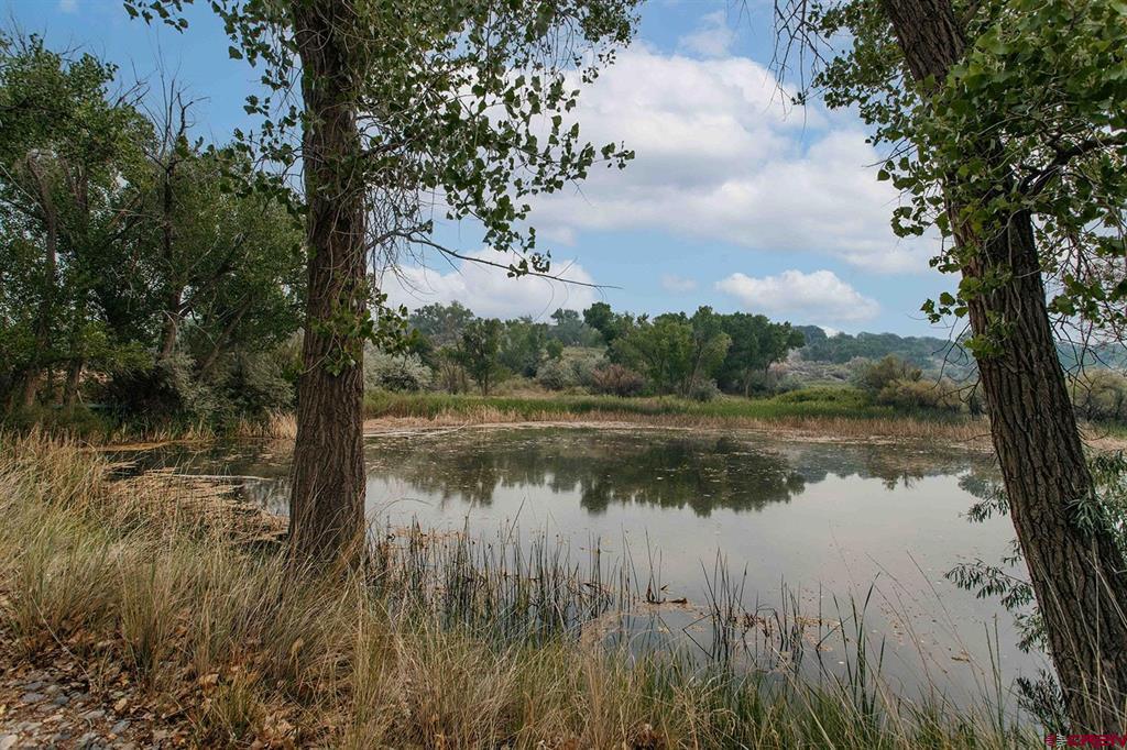 57743 Herman Road Property Photo 30