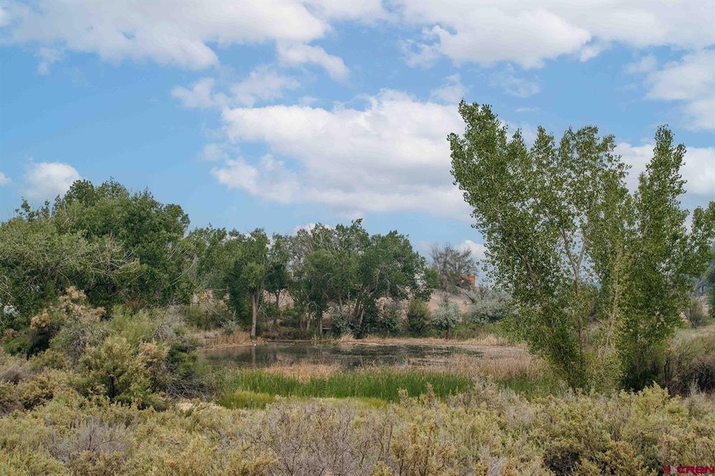 57743 Herman Road Property Photo 32