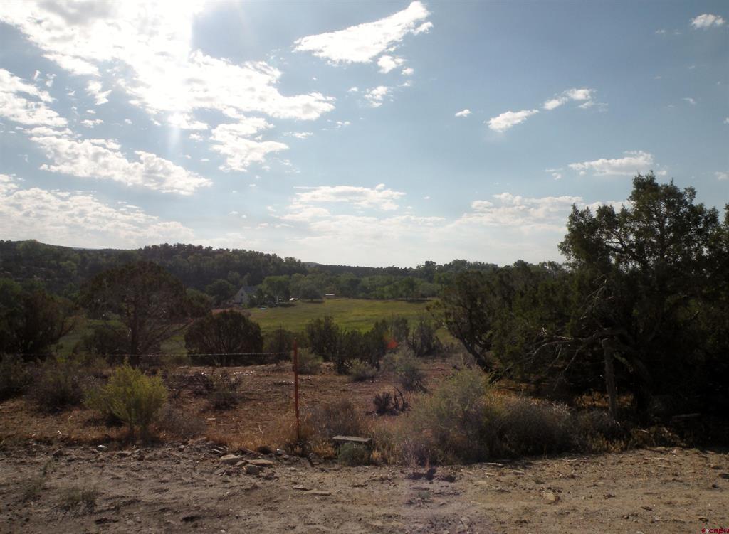 28149 Bb Road Property Photo 7