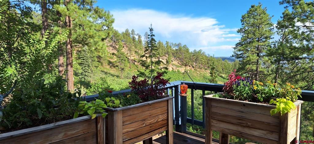1120 Silver Mesa Driveway Property Photo 4