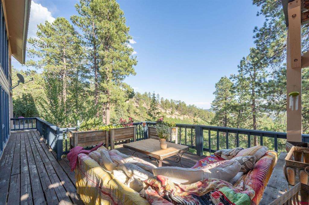 1120 Silver Mesa Driveway Property Photo 8
