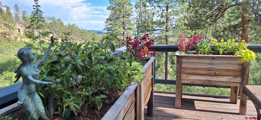 1120 Silver Mesa Driveway Property Photo 17
