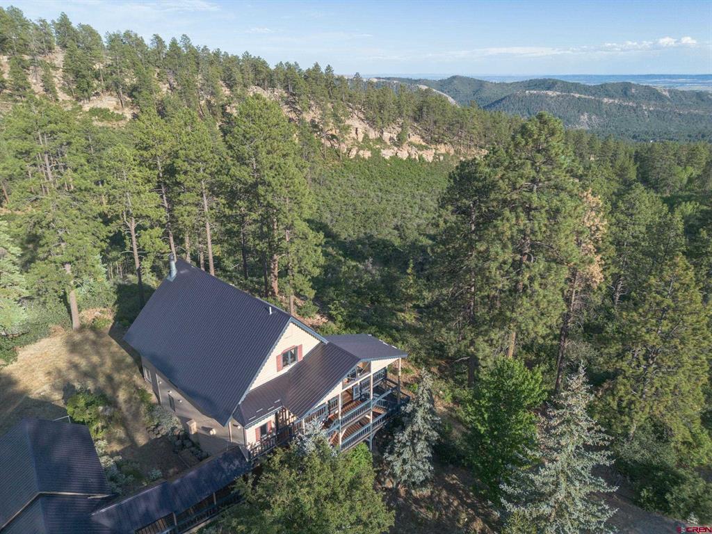 1120 Silver Mesa Driveway Property Photo 39