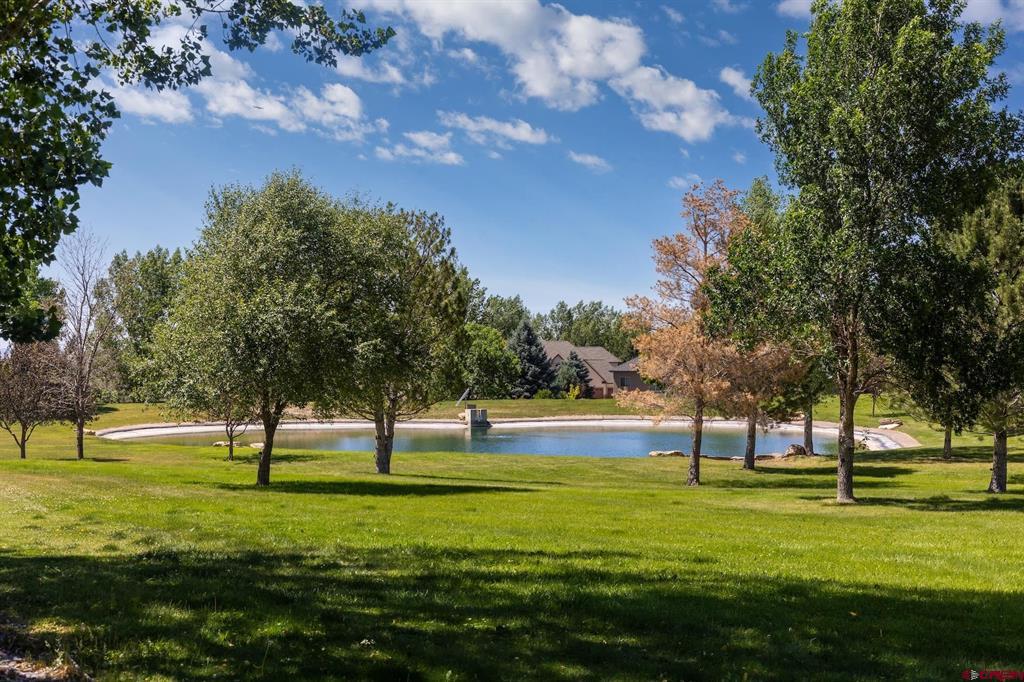 3339 Ivory Court Property Photo 13