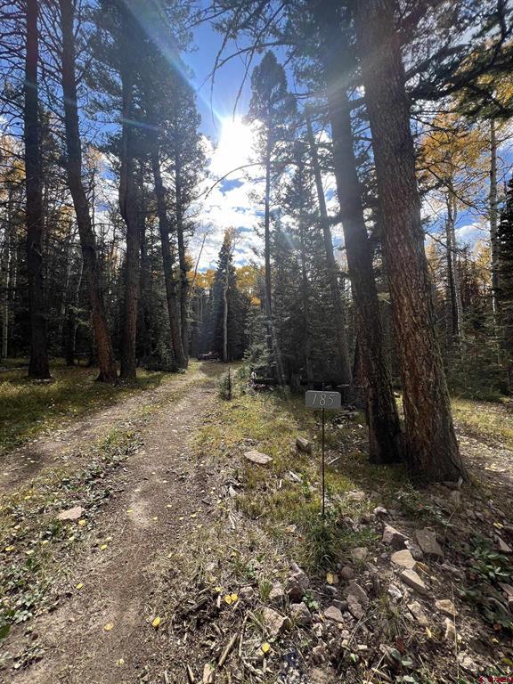 185 Aspen Trail Property Photo 2
