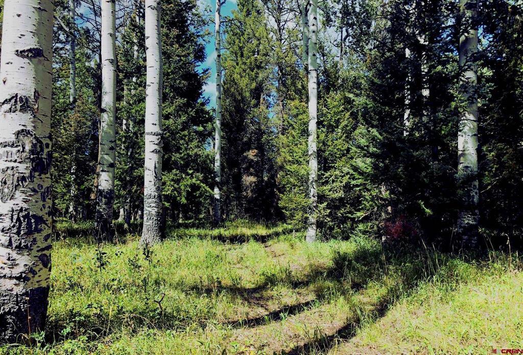 185 Aspen Trail Property Photo 3