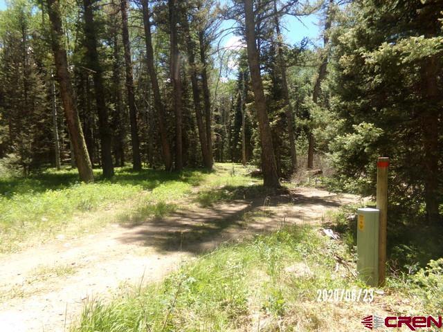 185 Aspen Trail Property Photo 4