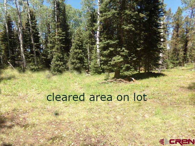 185 Aspen Trail Property Photo 6