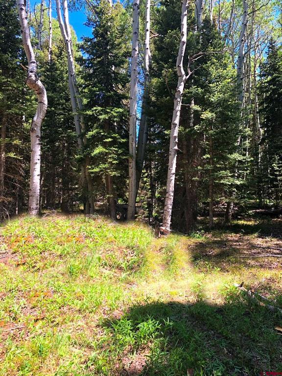 185 Aspen Trail Property Photo 7