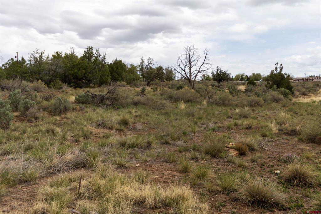 Tbd S Broadway Highway Property Photo 3