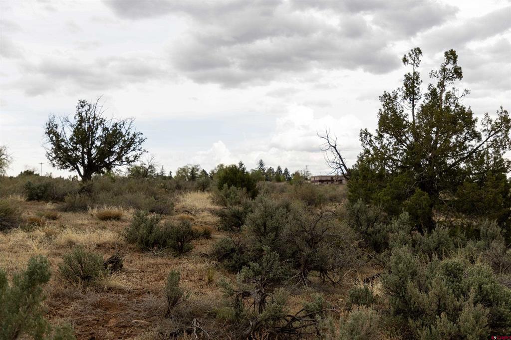 Tbd S Broadway Highway Property Photo 4