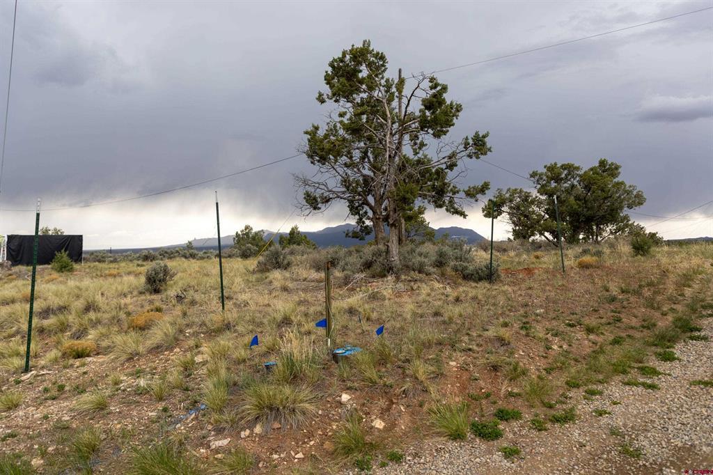 Tbd S Broadway Highway Property Photo 7
