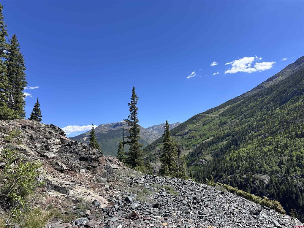 Belle Conklin Highway 550 Property Photo 3