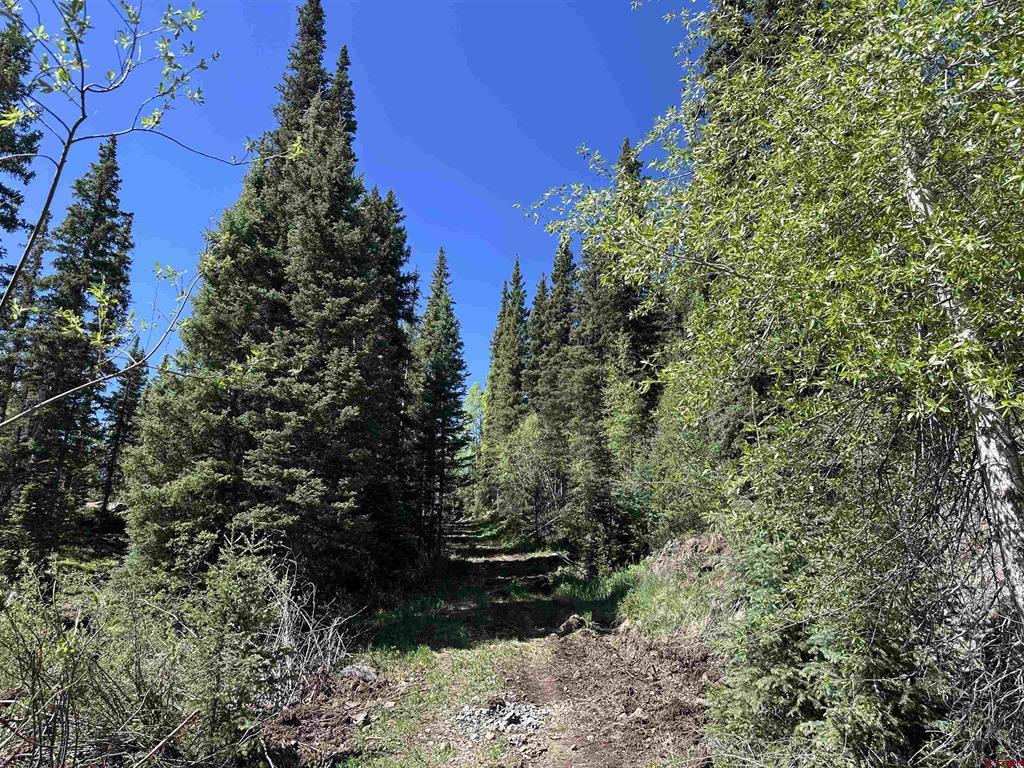 Belle Conklin Highway 550 Property Photo 4