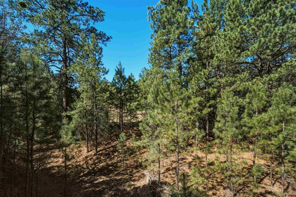 93 Blackhawk Ranch Property Photo 25