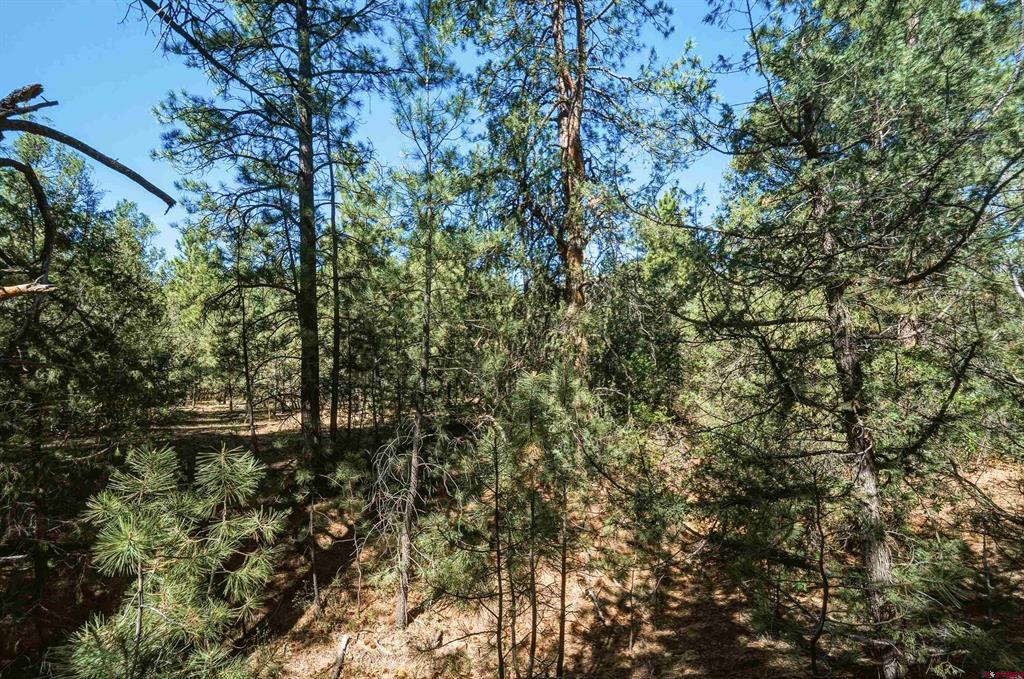 93 Blackhawk Ranch Property Photo 26
