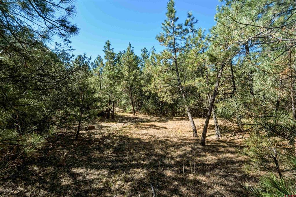 93 Blackhawk Ranch Property Photo 27