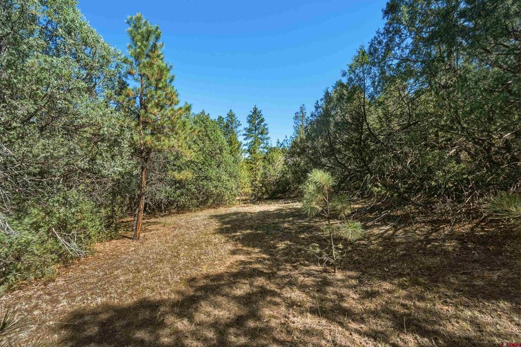 93 Blackhawk Ranch Property Photo 28