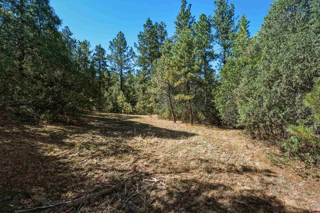93 Blackhawk Ranch Property Photo 29