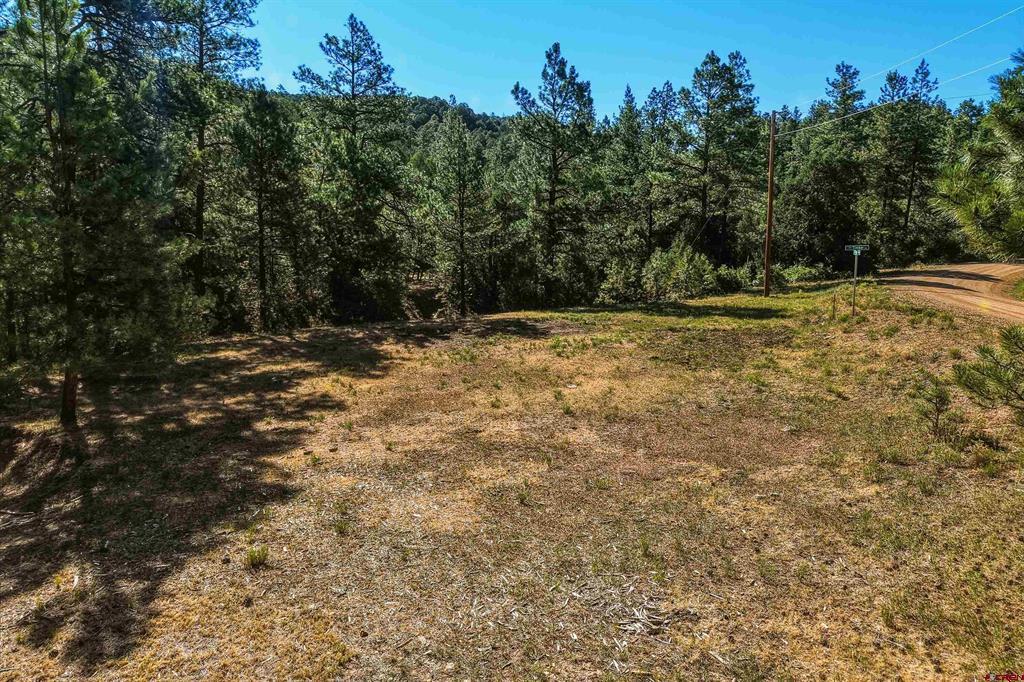93 Blackhawk Ranch Property Photo 30