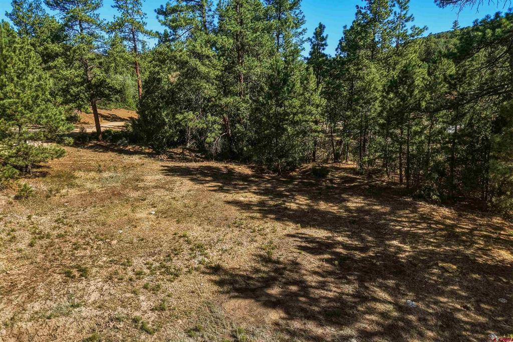 93 Blackhawk Ranch Property Photo 31