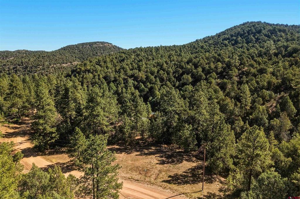 93 Blackhawk Ranch Property Photo 32