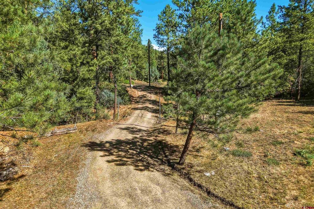 93 Blackhawk Ranch Property Photo 33