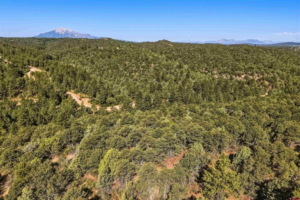 93 Blackhawk Ranch Property Photo 35