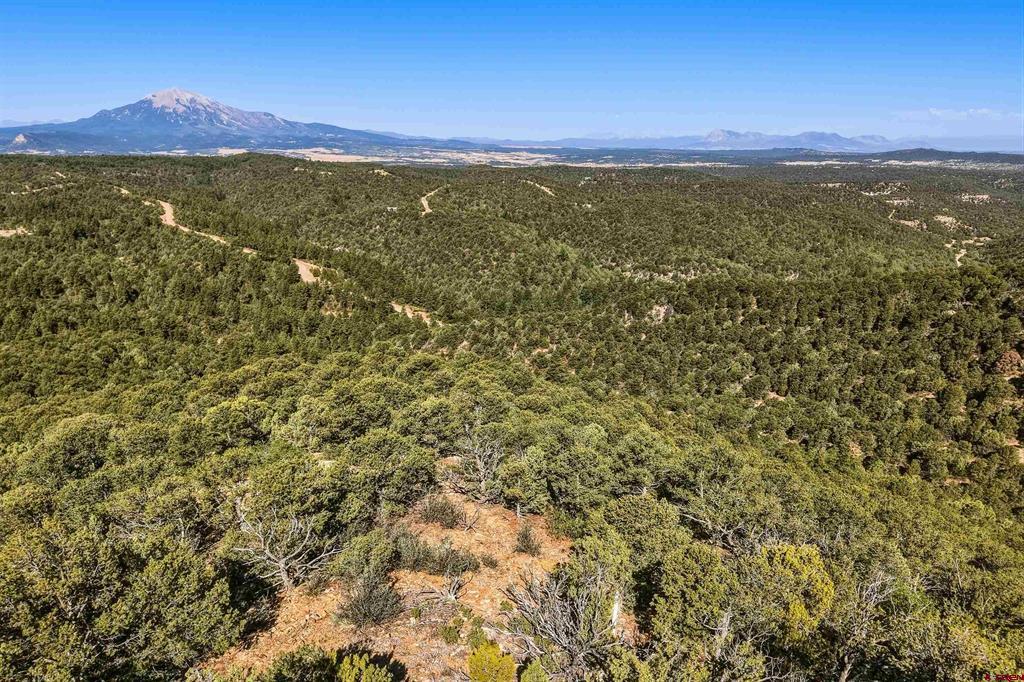 93 Blackhawk Ranch Property Photo 36