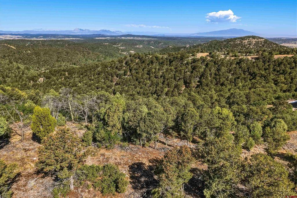 93 Blackhawk Ranch Property Photo 38