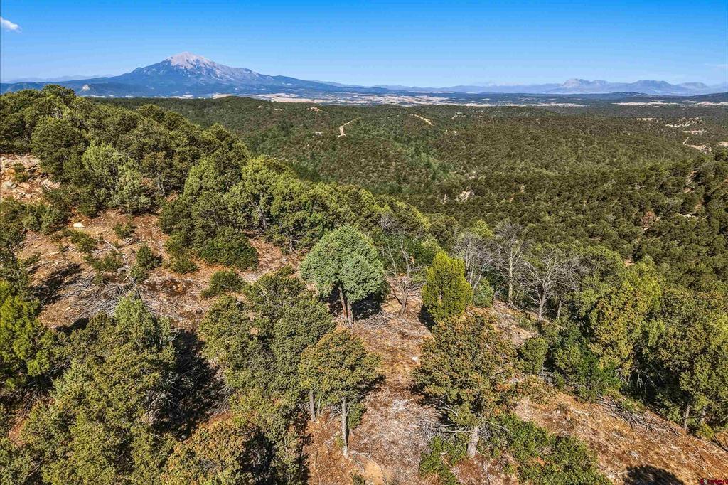 93 Blackhawk Ranch Property Photo 39
