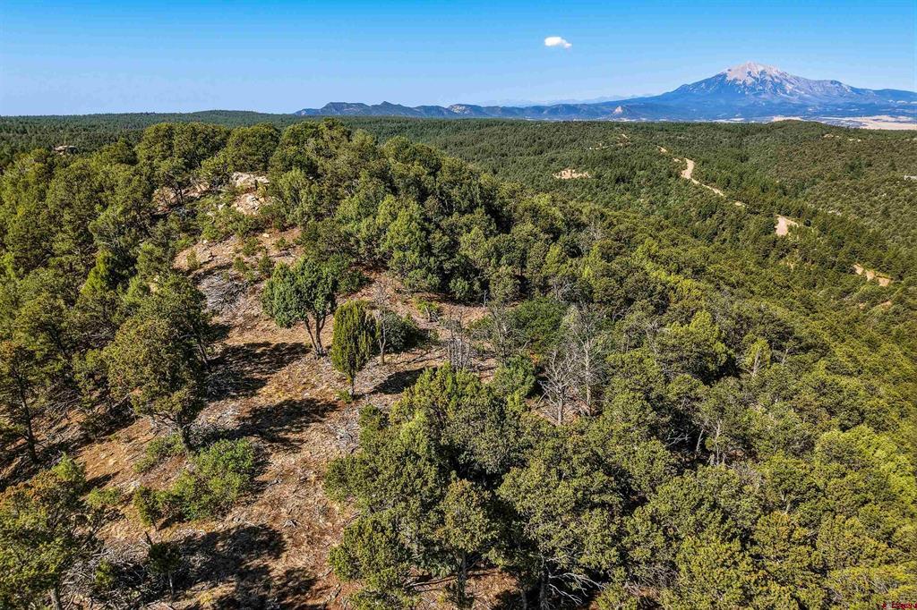 93 Blackhawk Ranch Property Photo 40