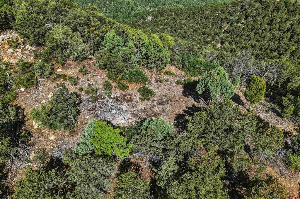 93 Blackhawk Ranch Property Photo 41