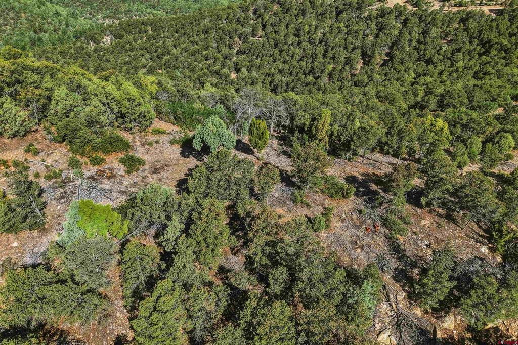 93 Blackhawk Ranch Property Photo 42