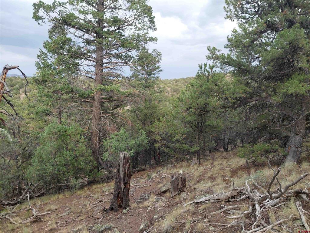 222 Sunrise Road Property Photo 1