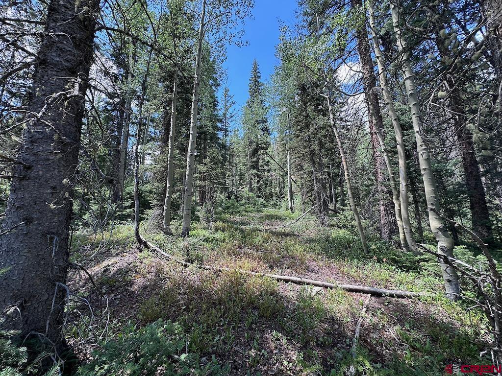 Alletha Highway 550 Property Photo 5