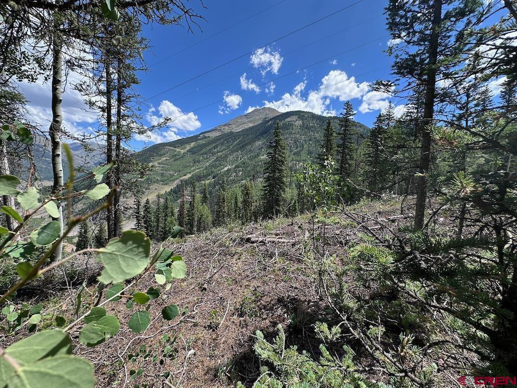 Alletha Highway 550 Property Photo 6