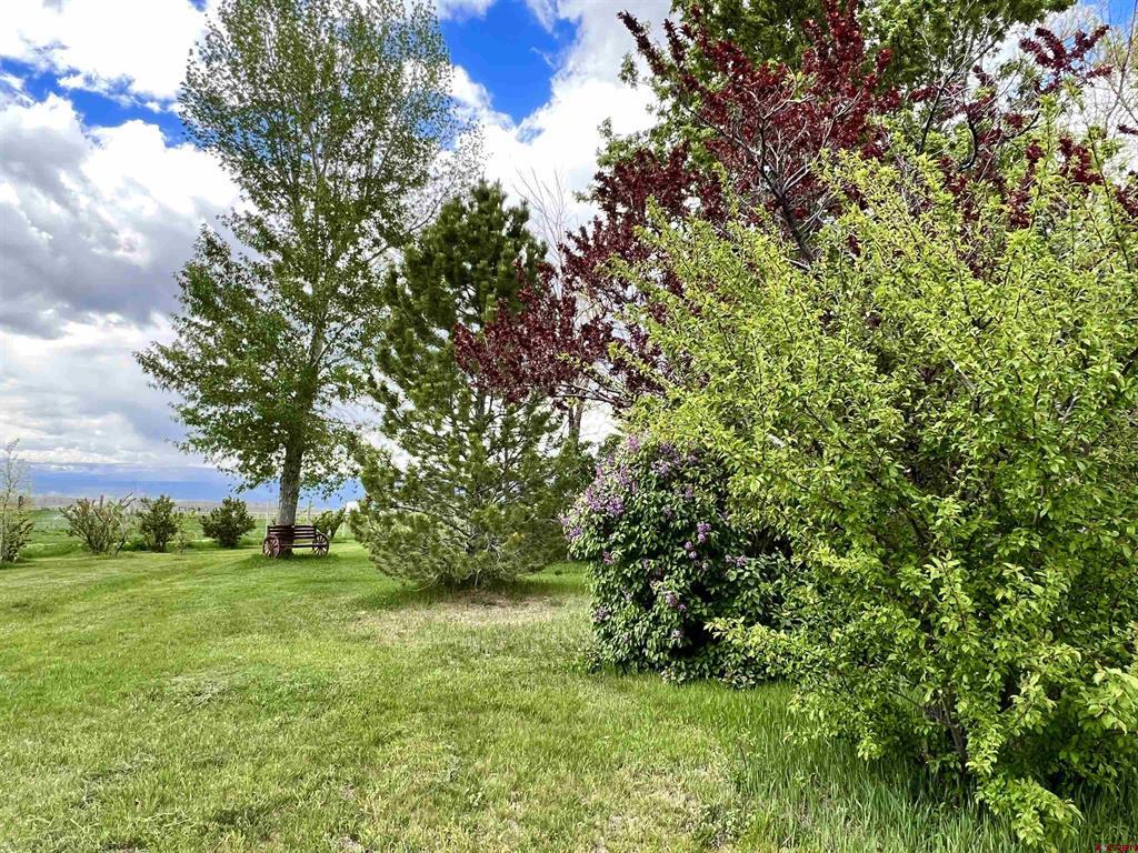 38578 Highway 92 Property Photo 39