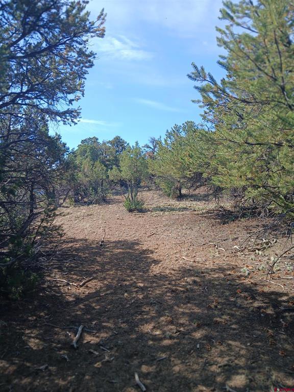 555 Aspen Road Property Photo 3