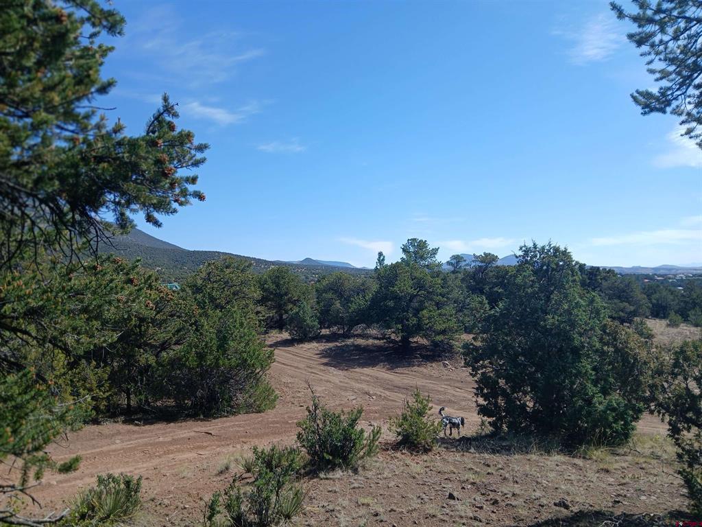 555 Aspen Road Property Photo 8