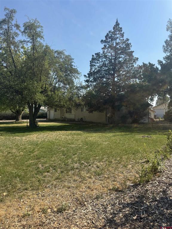 240 De Maria Road Property Photo 3