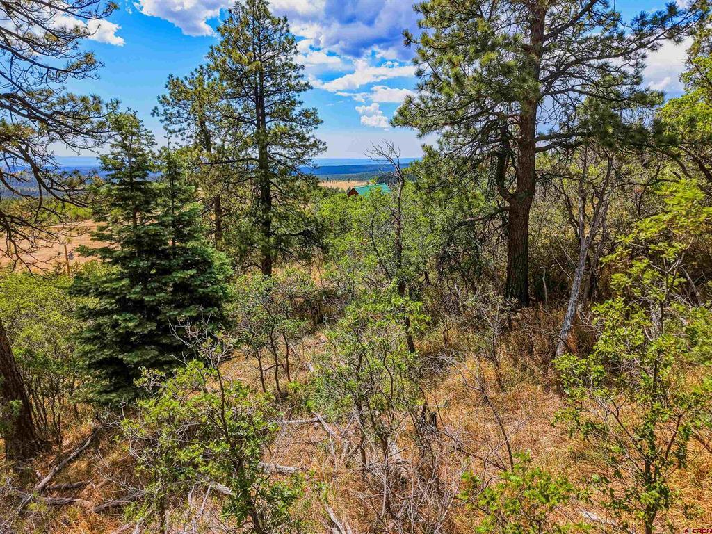 Tbd Spanish Peaks Ranch Lots 56 & 57 Property Photo 8