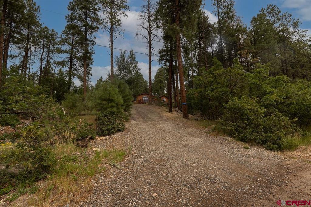 133 Pine Cone Drive Property Photo 39