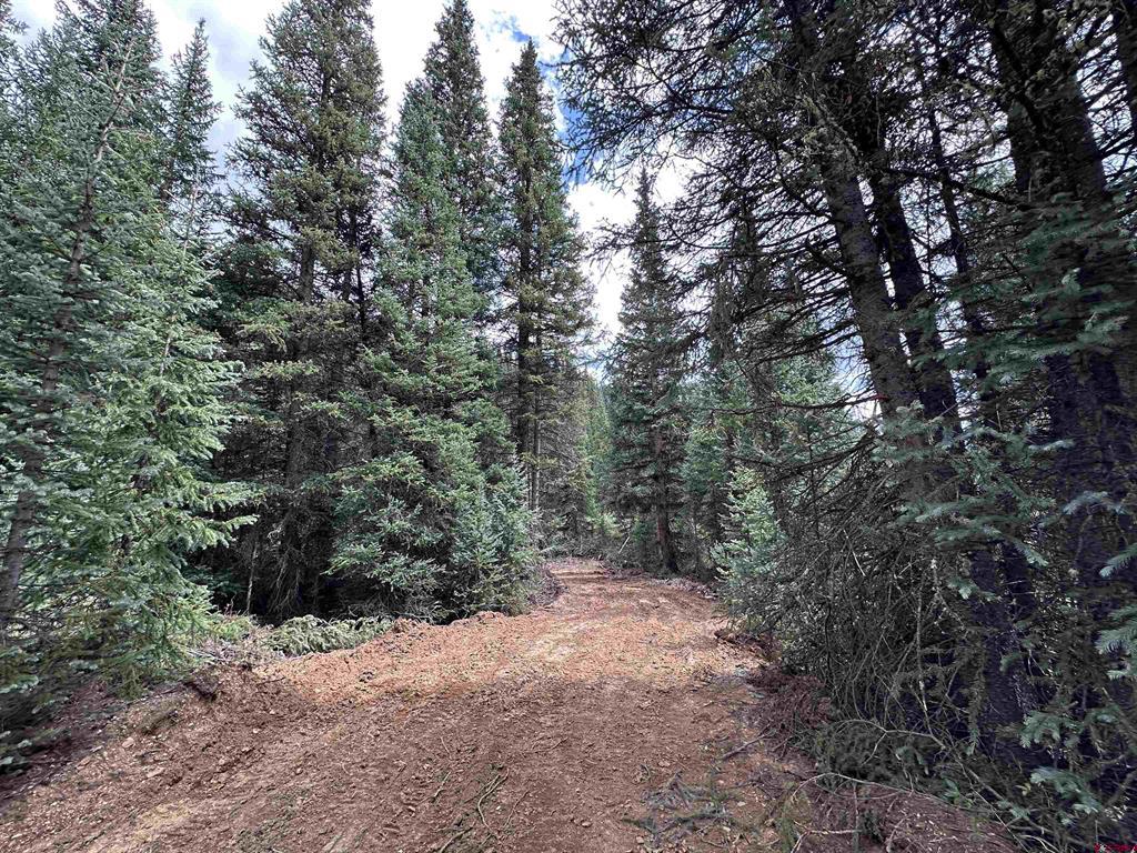 Lot 6 Overland Estates, Cr 110 Property Photo 4